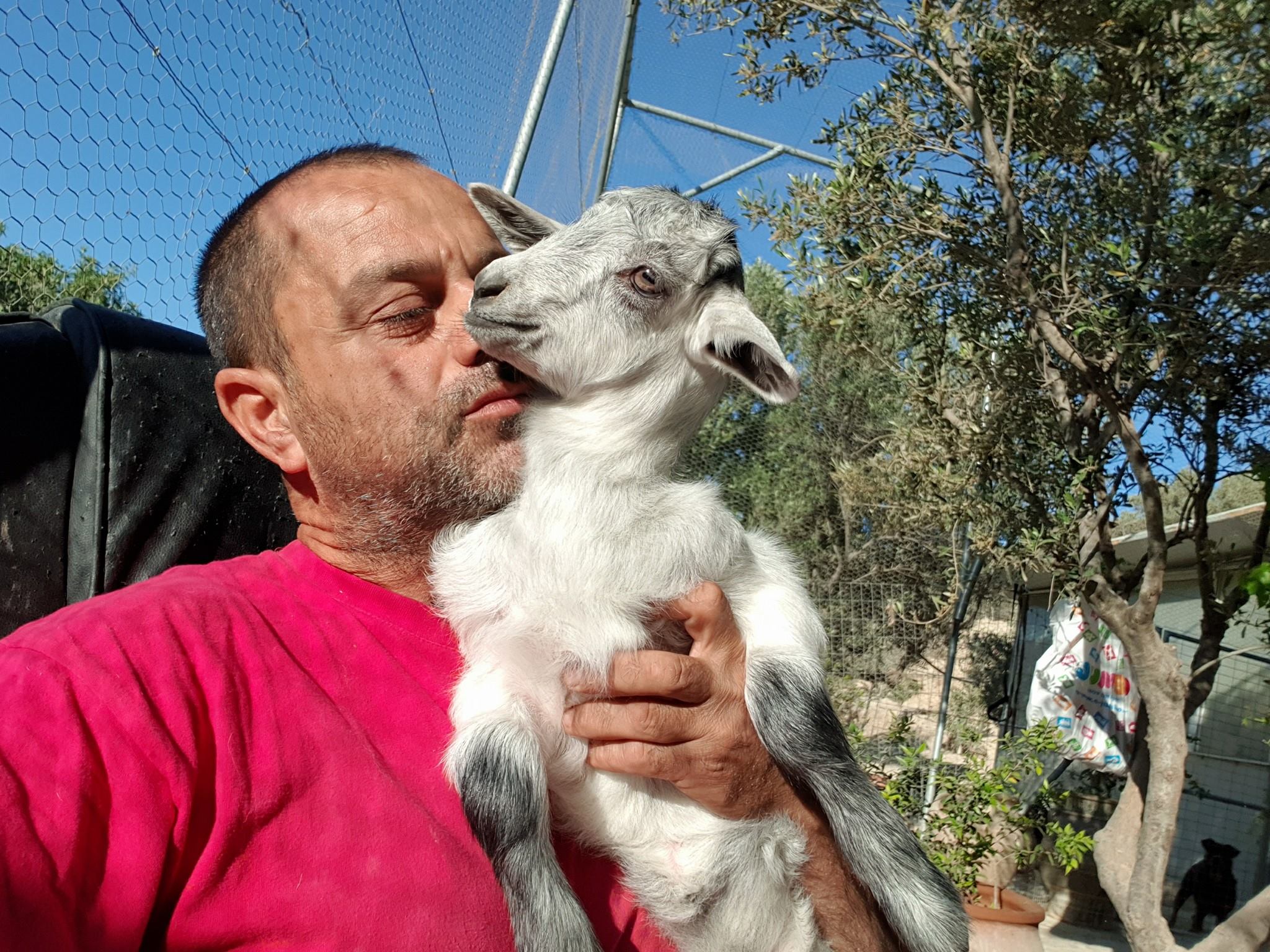 35054366_1737571172976623_6963945748526268416_o